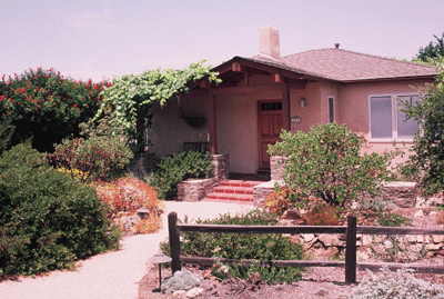 Southern California Chaparral with Cleveland Sage and Chamise