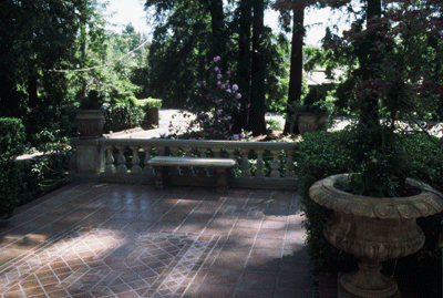 Redwood Garden with Mediterranean Style Entry and Dwarf Redwood in Historic Urn